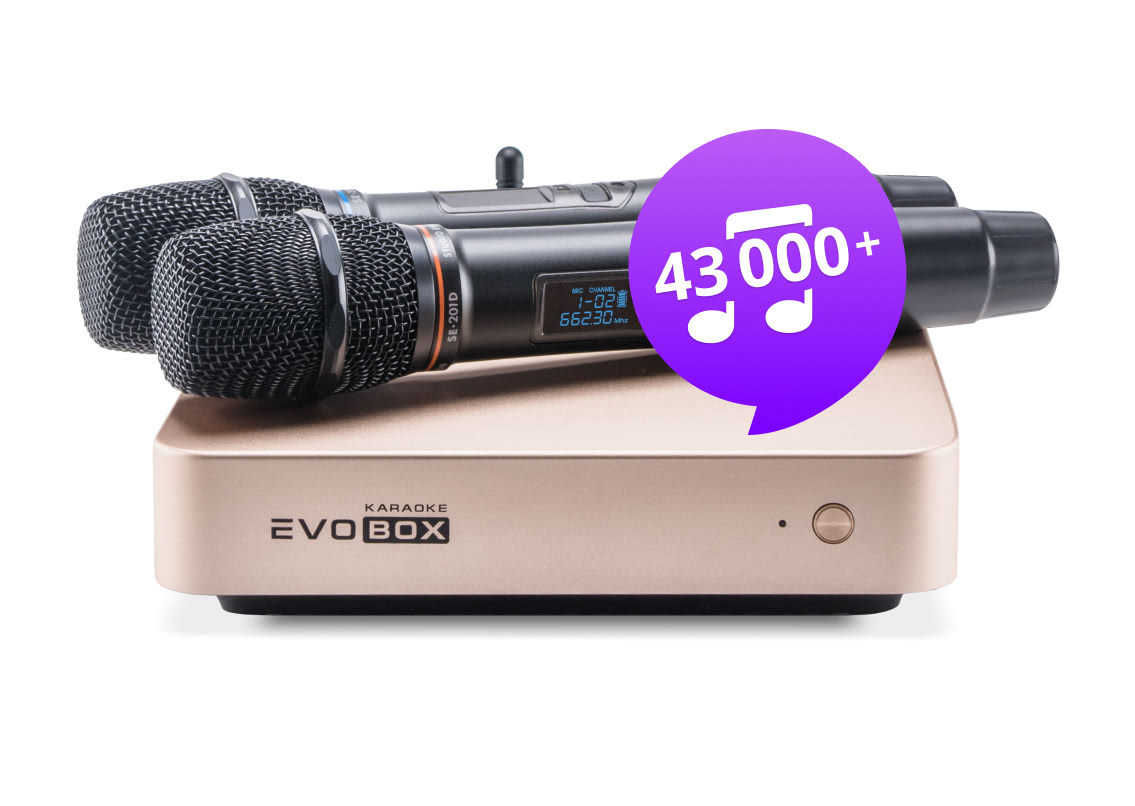 Караоке-система для дома EVOBOX Plus [Gold] с микрофонами SE-201 D
