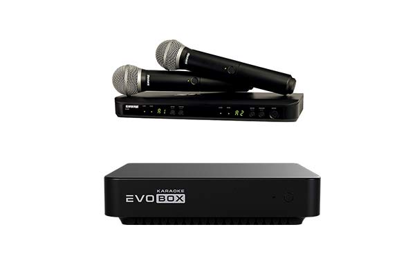 Комплект караоке на базе Evobox с микрофоном Shure BLX288E/PG58 M17