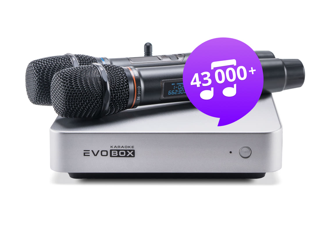 Караоке-система для дома EVOBOX Plus [Silver] с микрофонами SE-201 D