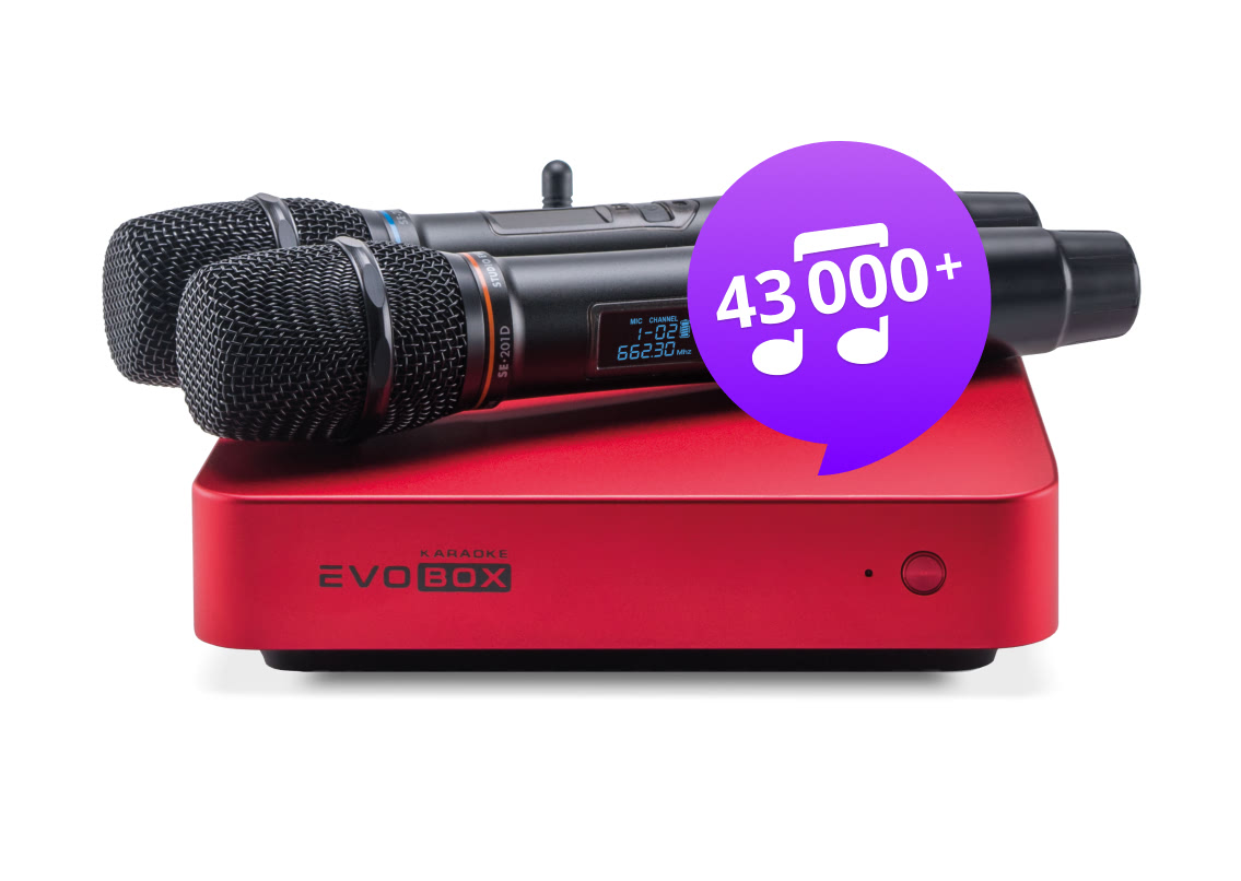 Караоке-система для дома EVOBOX Plus [Ruby] с микрофонами SE-201 D